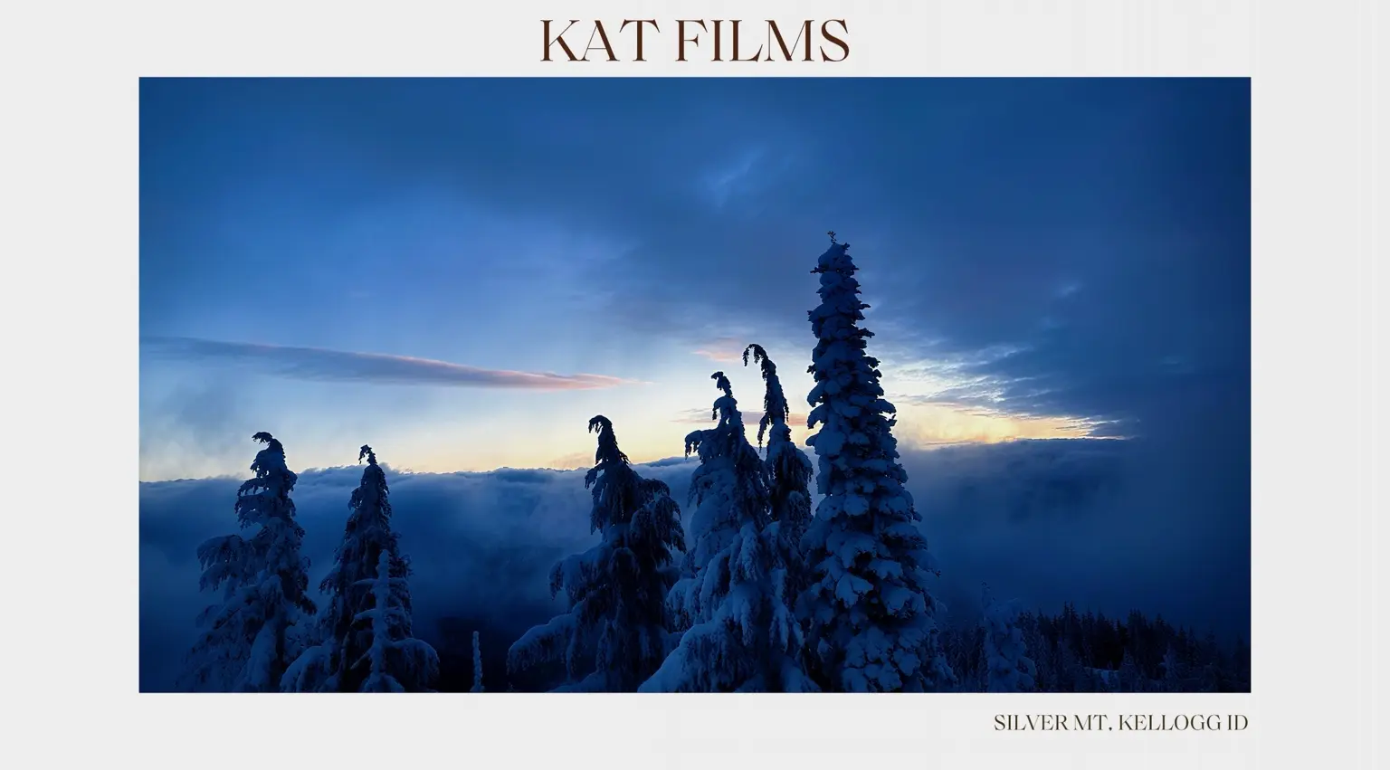 Snow-laden trees beneath a dramatic winter sky