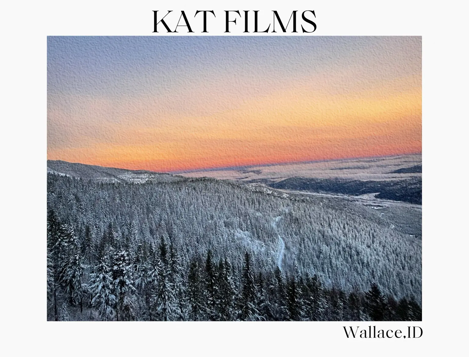Snowy forest and distant mountain light