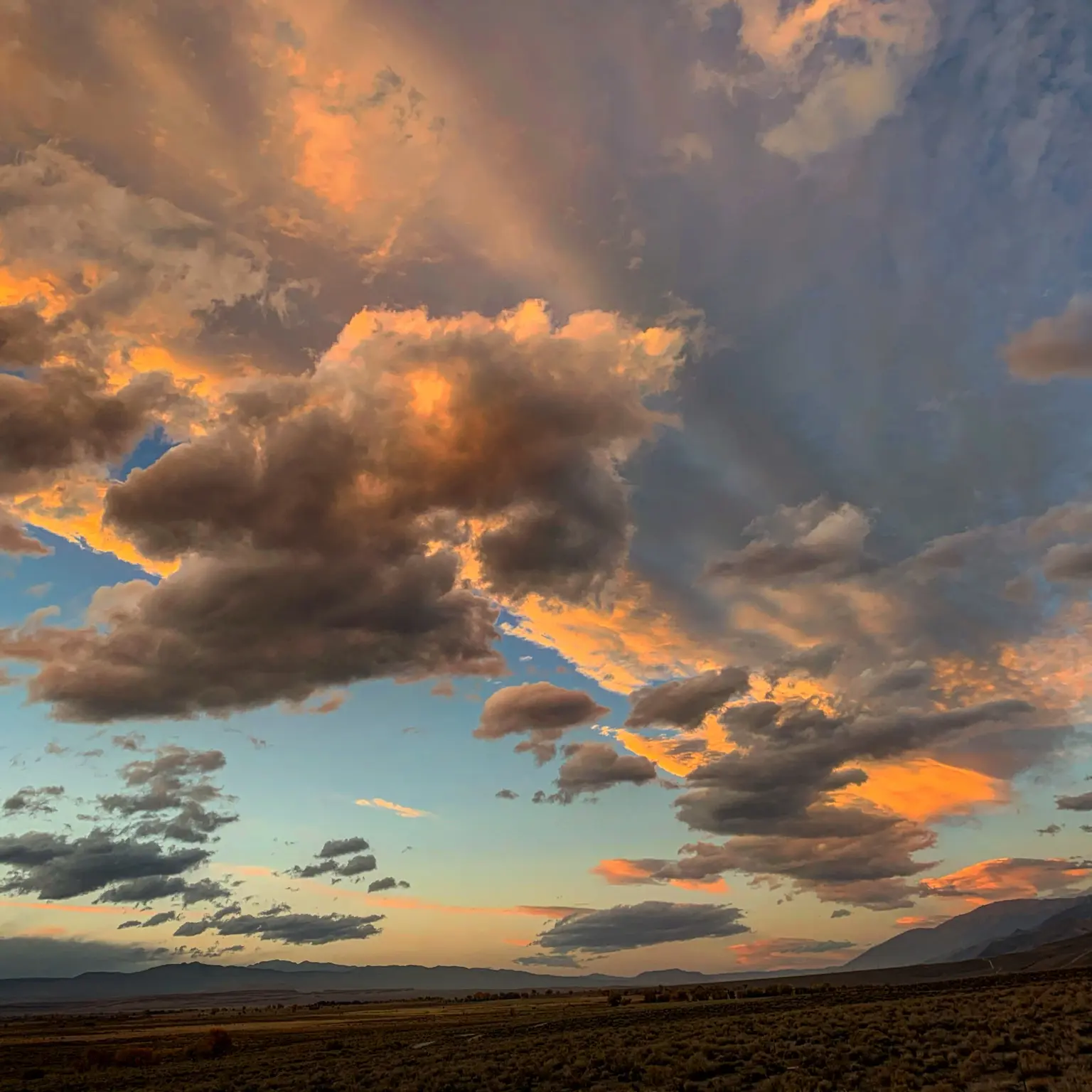 Towering clouds lit by late-day sun