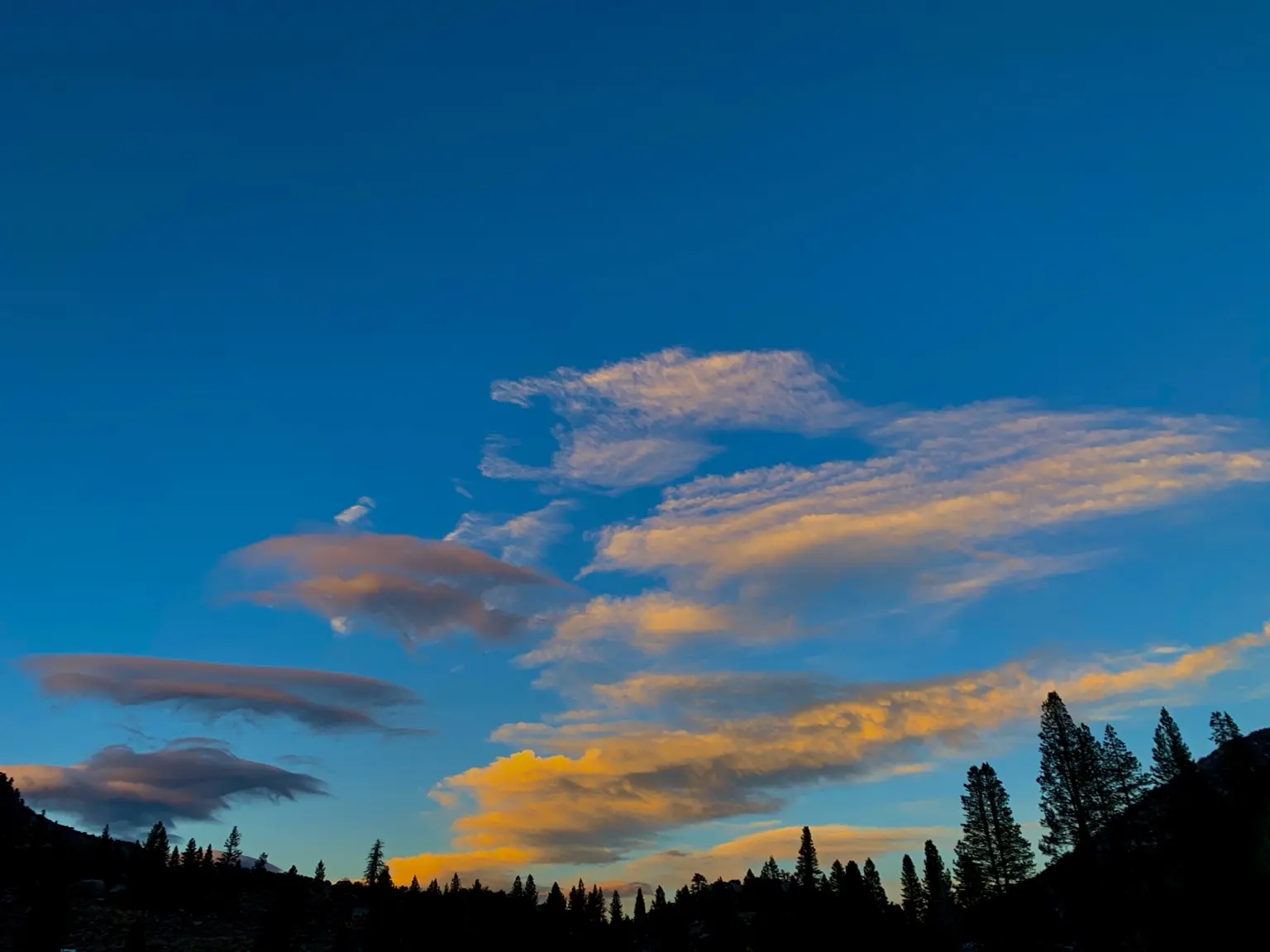 Bright clouds floating in a deep blue sky