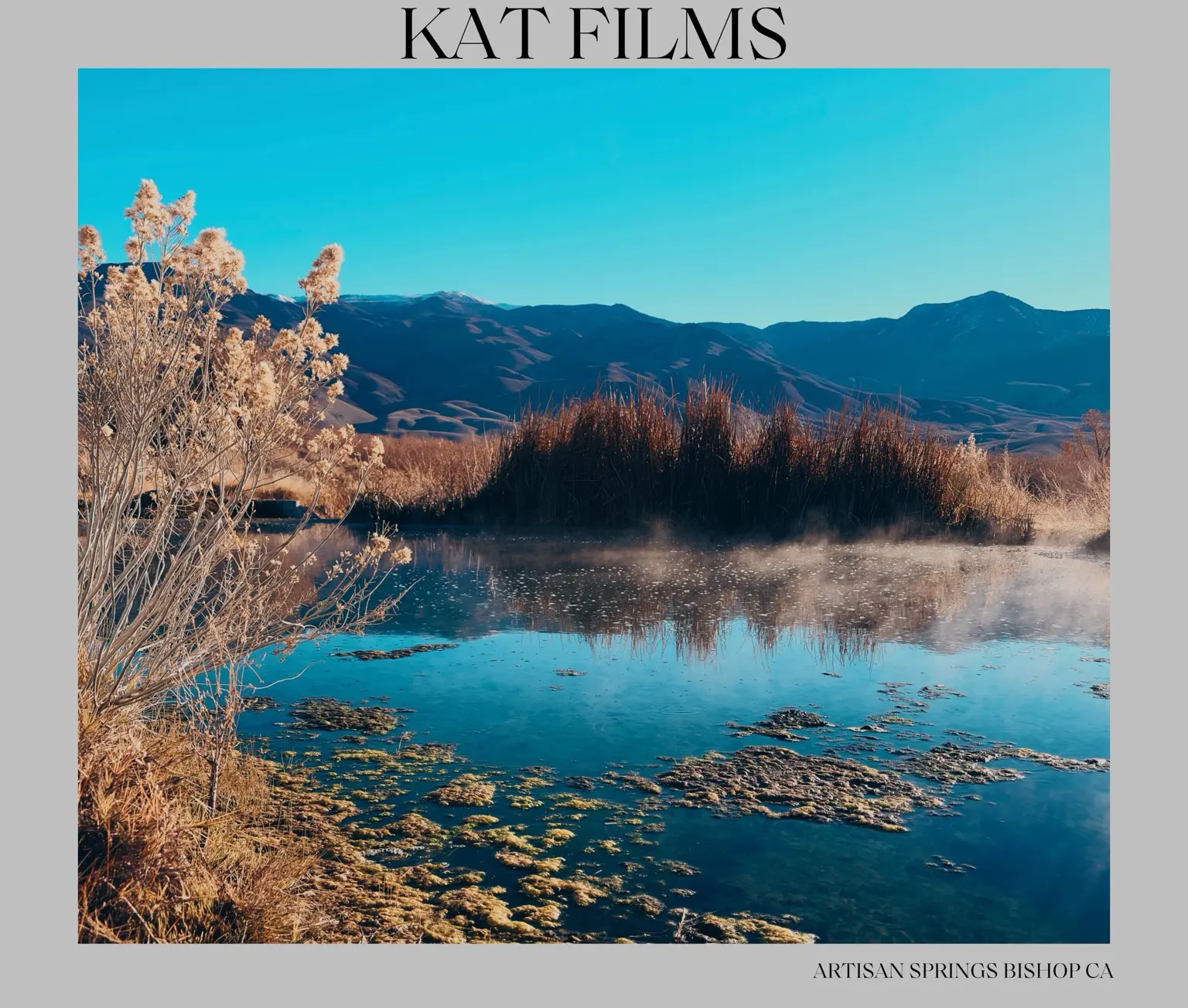 Quiet water framed by pale winter grasses