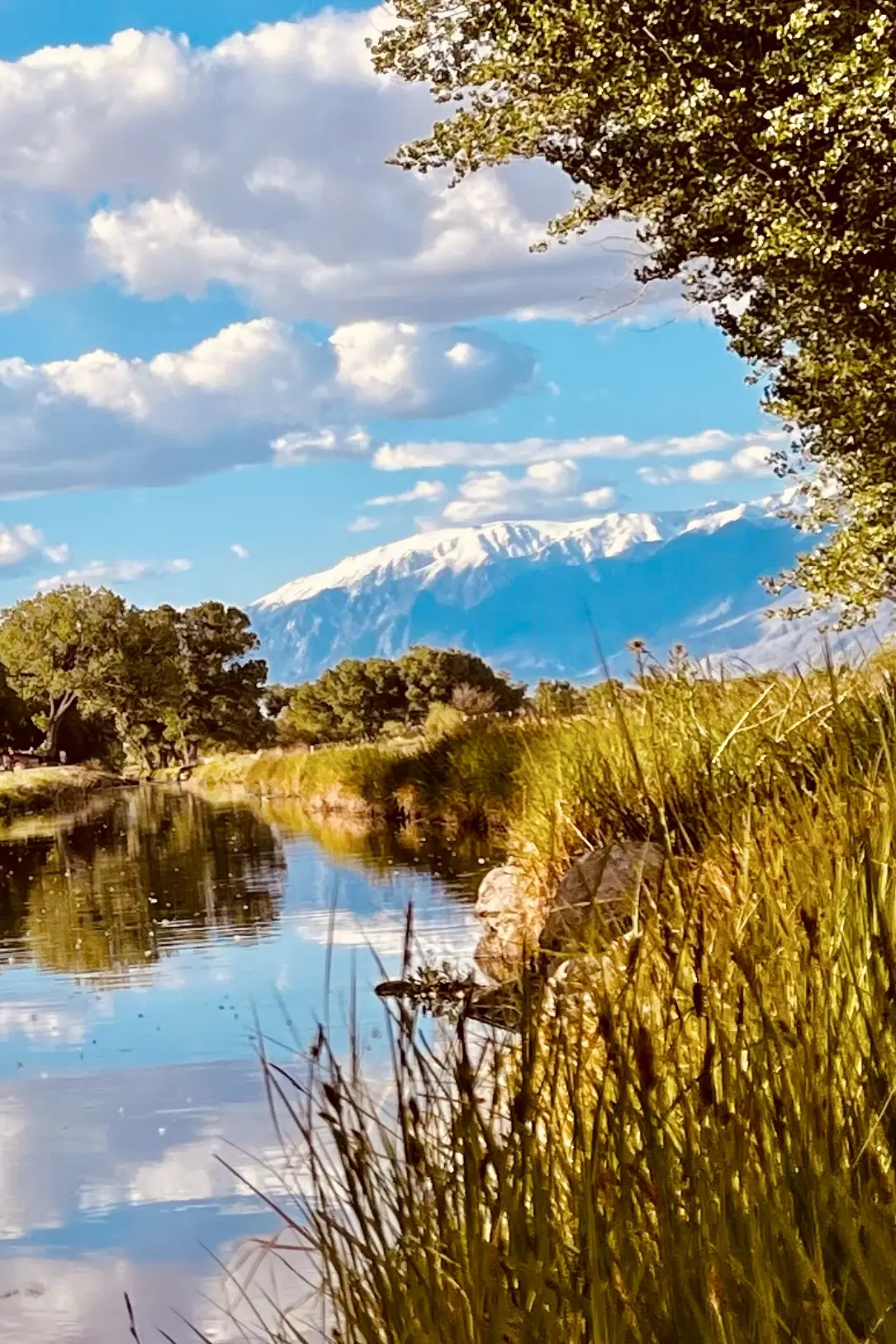 Eastern Sierra peaks beyond a river bend