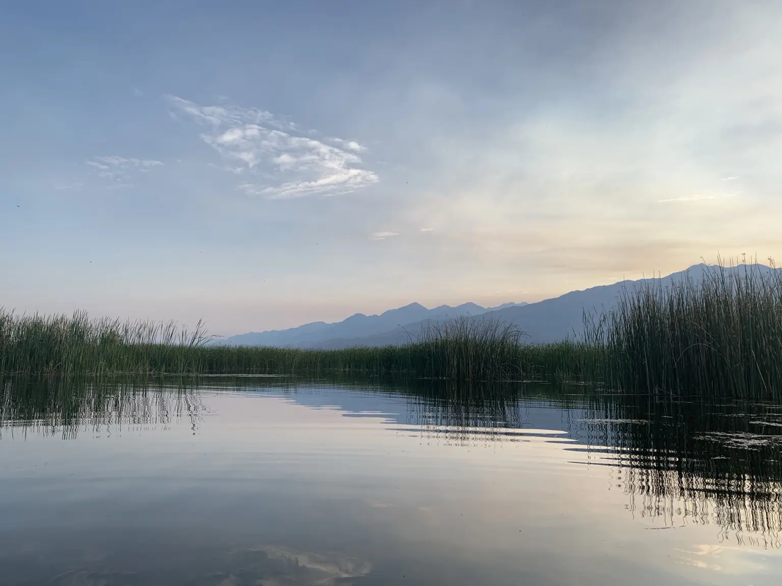 Soft morning mist above still water