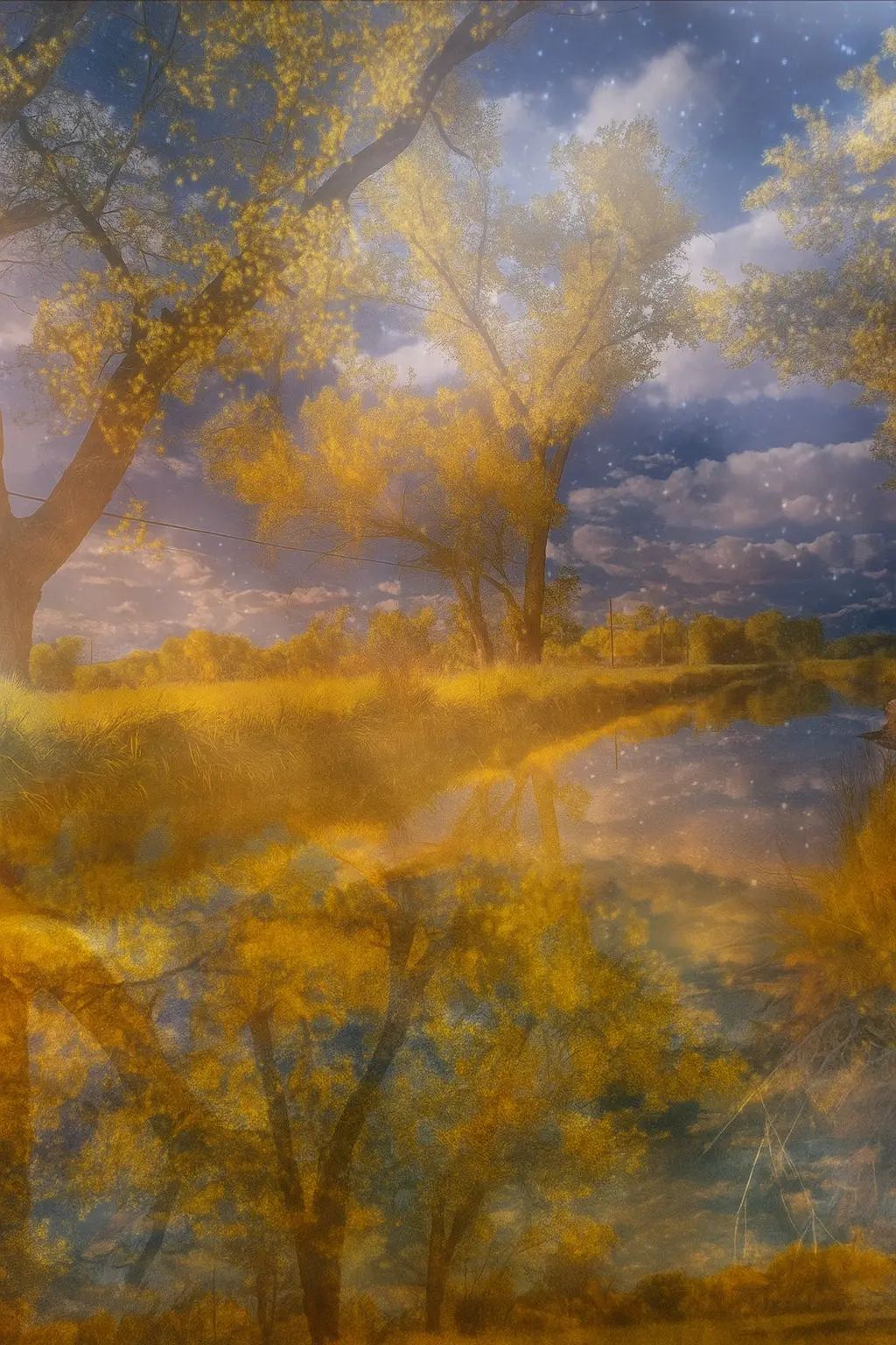 Golden autumn trees softened by reflected light