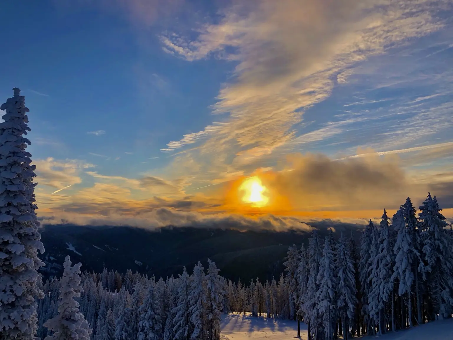 Blue-hour winter forest beneath a soft rainbow