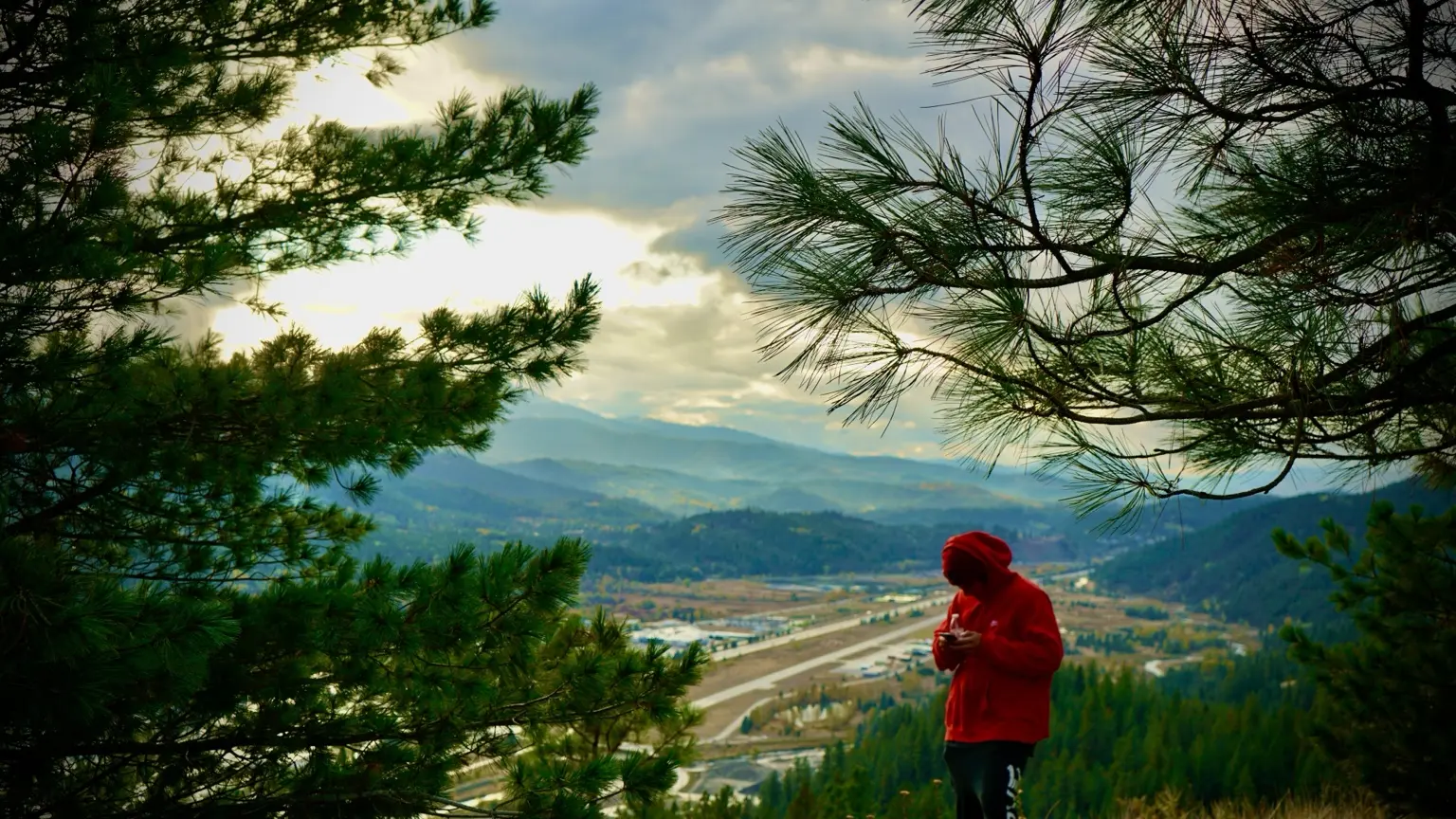 Mountain gondola crossing a sunlit forest