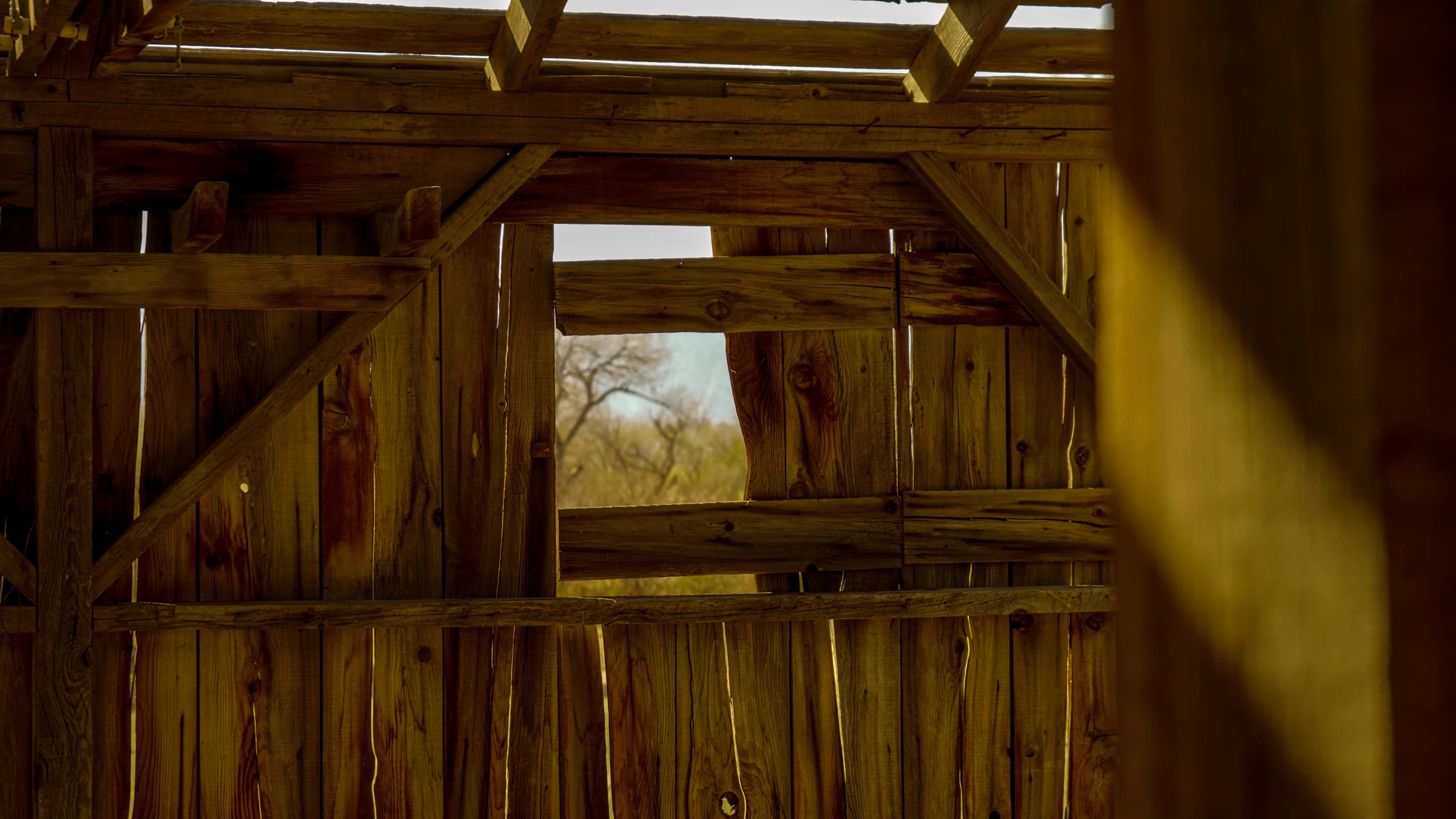 Sunlight falling across the beams of a weathered barn