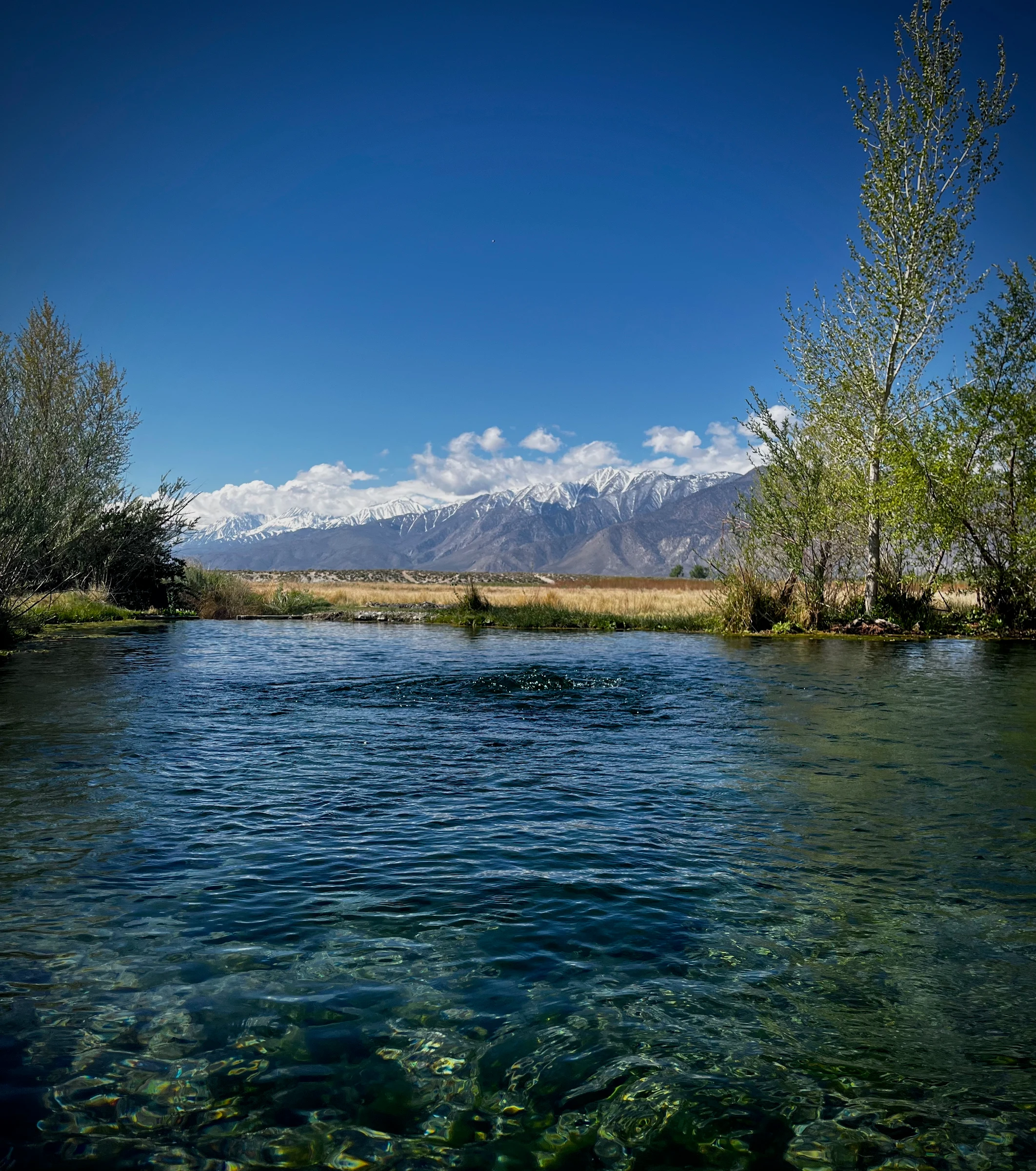 Clear flowing water beneath snowy mountains and blue sky