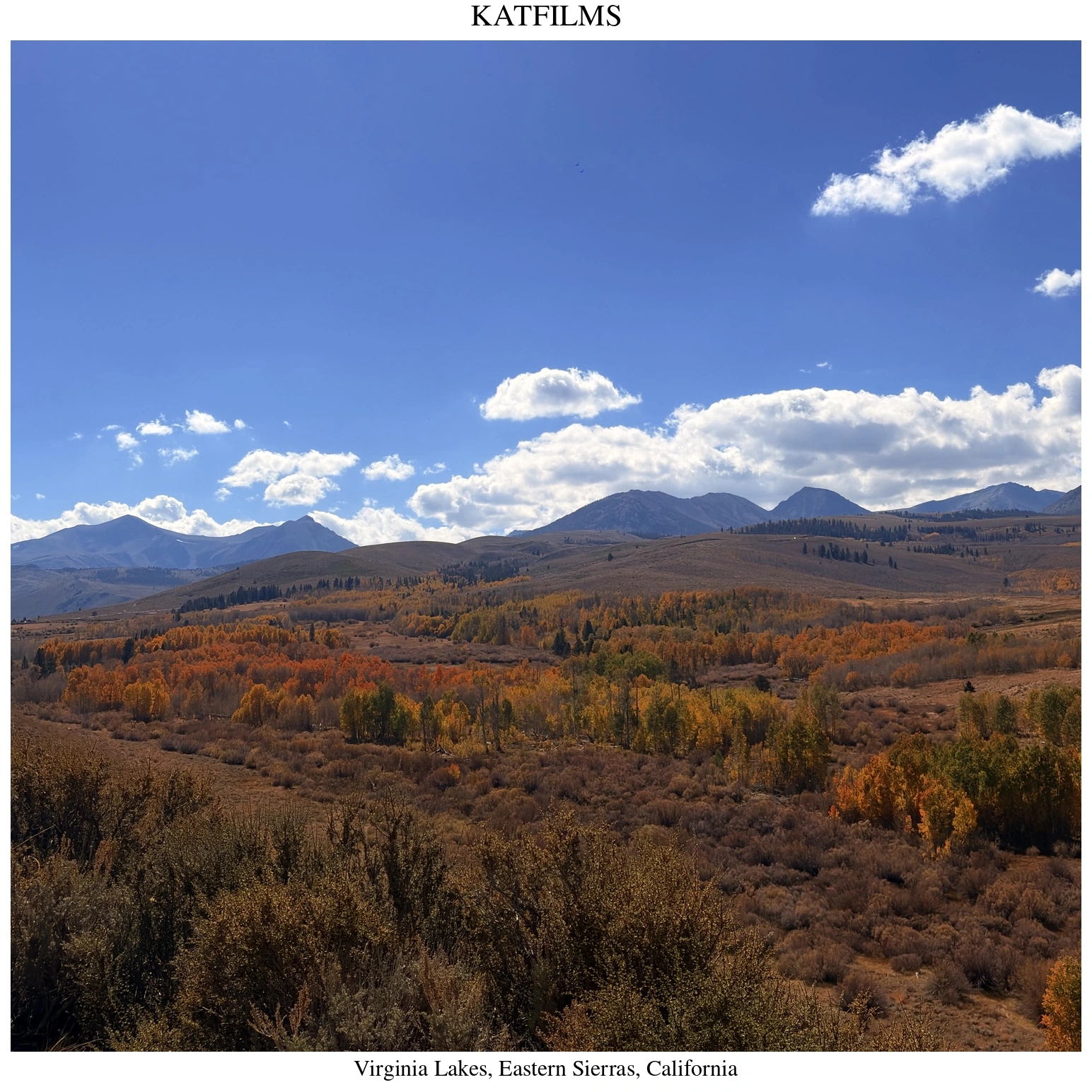 Autumn foliage and mountains near Virginia Lakes