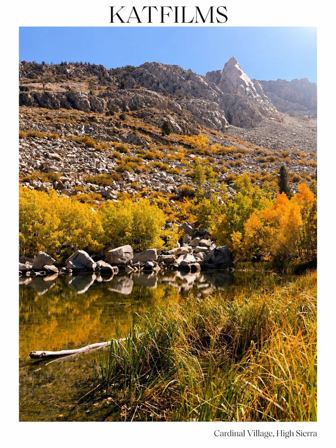 Golden autumn foliage reflected in water at Cardinal Village